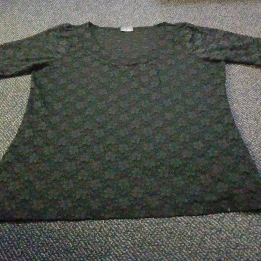 Nwot sheer lace tunic